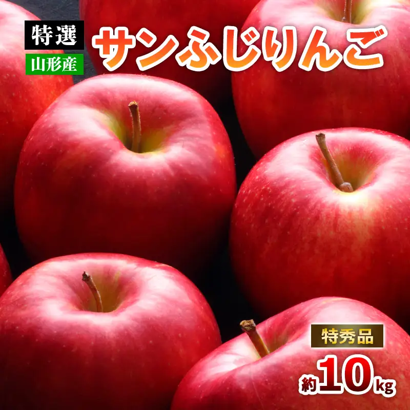 【特選】山形のサンふじりんご 約10kg 特秀品(20～50玉)【令和8年産先行予約】FS25-791