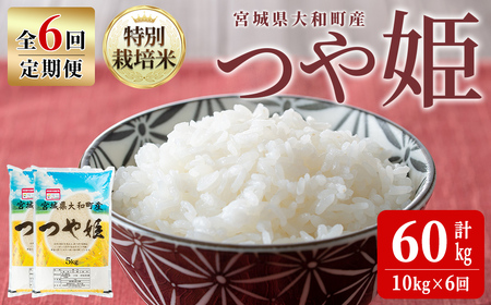 【令和8年産】＜6か月定期便＞特別栽培米 つや姫 10kg×6回(合計60kg) お米 おこめ 米 コメ 白米 ご飯 ごはん おにぎり お弁当 頒布会【農事組合法人若木の里】ta550