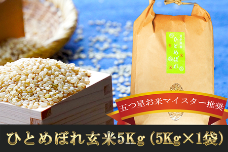 ひとめぼれ 玄米 5kg 盛岡市産 岩手 米 お米 ブランド米 いわて米 五つ星 お米マイスター 推奨 こめ コメ ライス ご飯 ごはん 美味しい 贈り物 国産 岩手県産 岩手県 盛岡市 お取り寄せ 産地直送 盛岡 佐々木米穀店