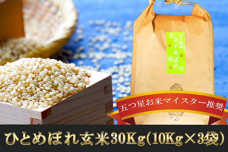 ひとめぼれ 玄米 30kg 10kg×3袋 盛岡市産 岩手 米 お米 ブランド米 いわて米 五つ星 お米マイスター 推奨 こめ コメ ライス ご飯 ごはん 美味しい 贈り物 国産 岩手県産 岩手県 盛岡市 お取り寄せ 産地直送 盛岡 佐々木米穀店
