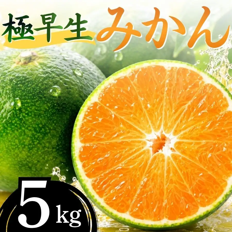 【先行予約】湯の花　極早生温州みかん5kg箱　【 極早生 】