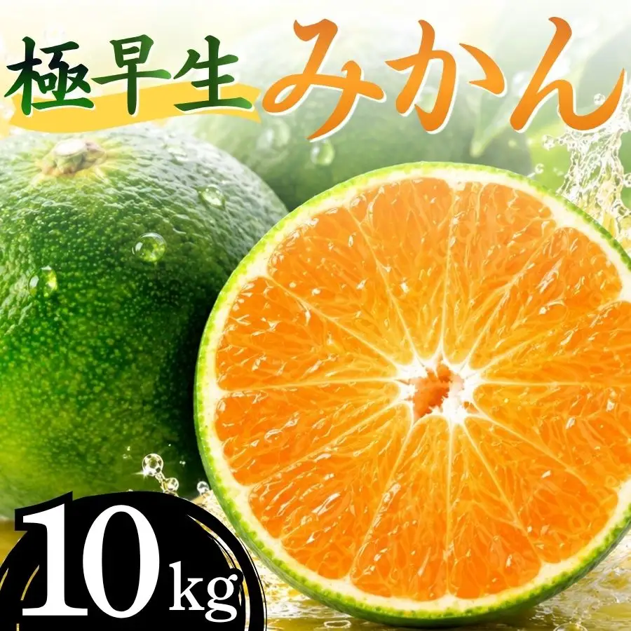 湯の花　極早生温州みかん10kg箱　【 極早生 】