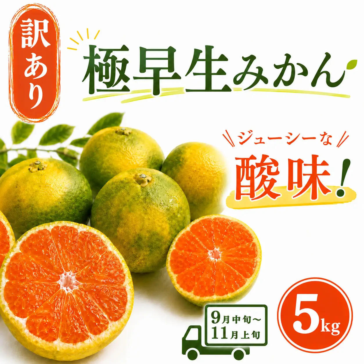 【先行予約】訳あり 極早生みかん 5kg | 温州みかん みかん 蜜柑 ミカン 柑橘 緑のみかん 酸っぱい 酸味 家庭用 秋の味覚 旬 ごくわせ フルーツ 果物 くだもの 産地直送 数量限定 期間限定 人気 おすすめ 国産 高知県 室戸市