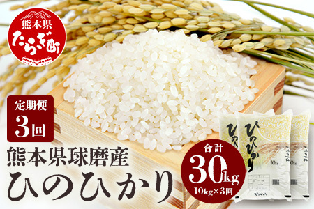 【定期便年3回】令和5年度産 球磨産 ひのひかり 10kg 新米 精米 白米 熊本県産 美味しいごはん ご飯 美味しい米 ライス 036-0174