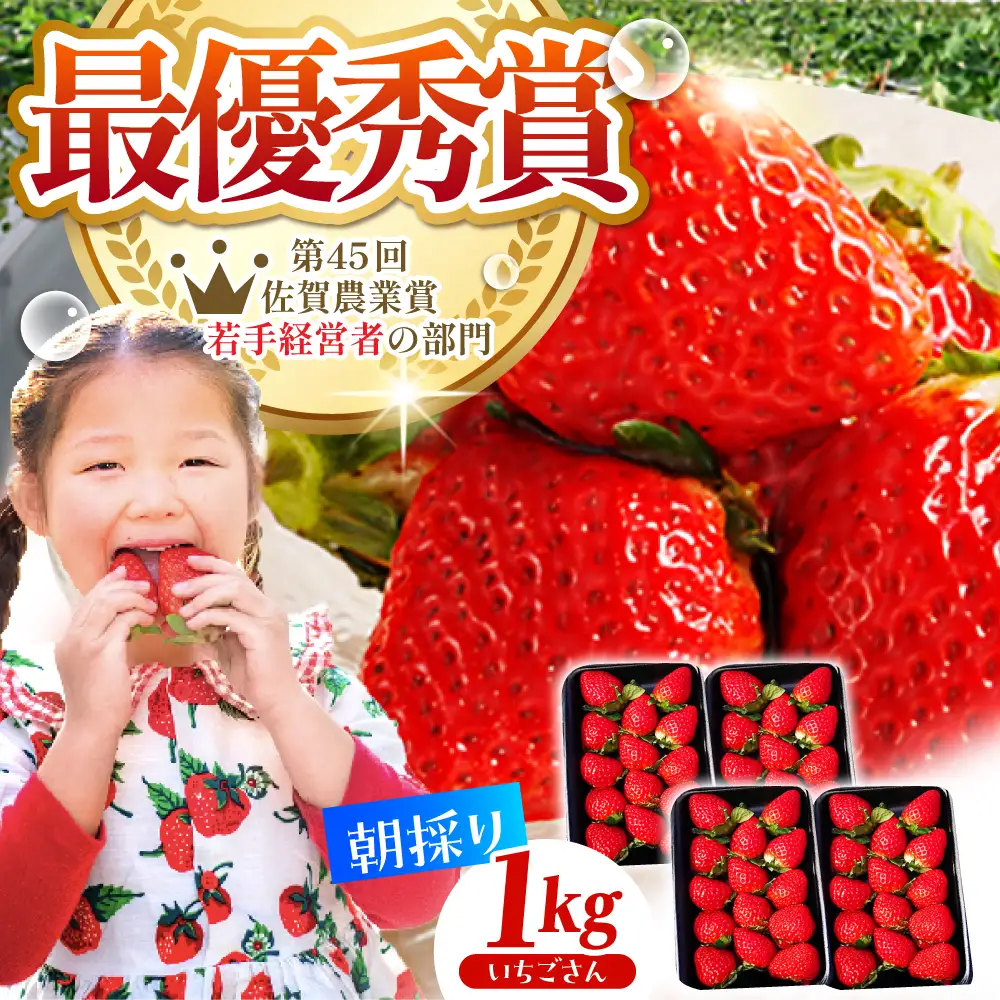 【先行予約】【2?4月発送】朝摘みいちご いちごさん 1kg（250g×4パック）  [HAF023]いちご いちご いちご いちご