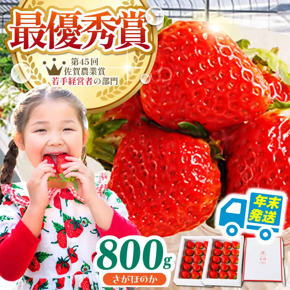【先行予約】【農薬0への挑戦】【年末発送】王様のいちごさがほのか400g×2箱【むらおか農園】HAF029 いちご 果物 フルーツ