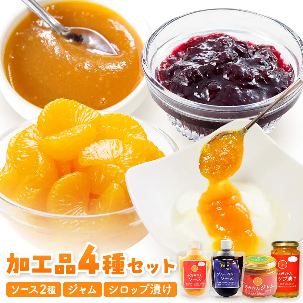 加工品4種セット ソース 2種 ジャム シロップ漬け 各1個 田野農園《30日以内に出荷予定(土日祝除く)》鹿児島県 さつま町