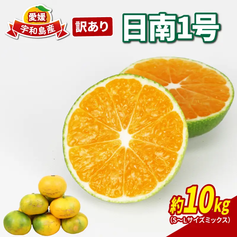 訳あり 極早生 愛媛 みかん 10kg NBU B015-058008