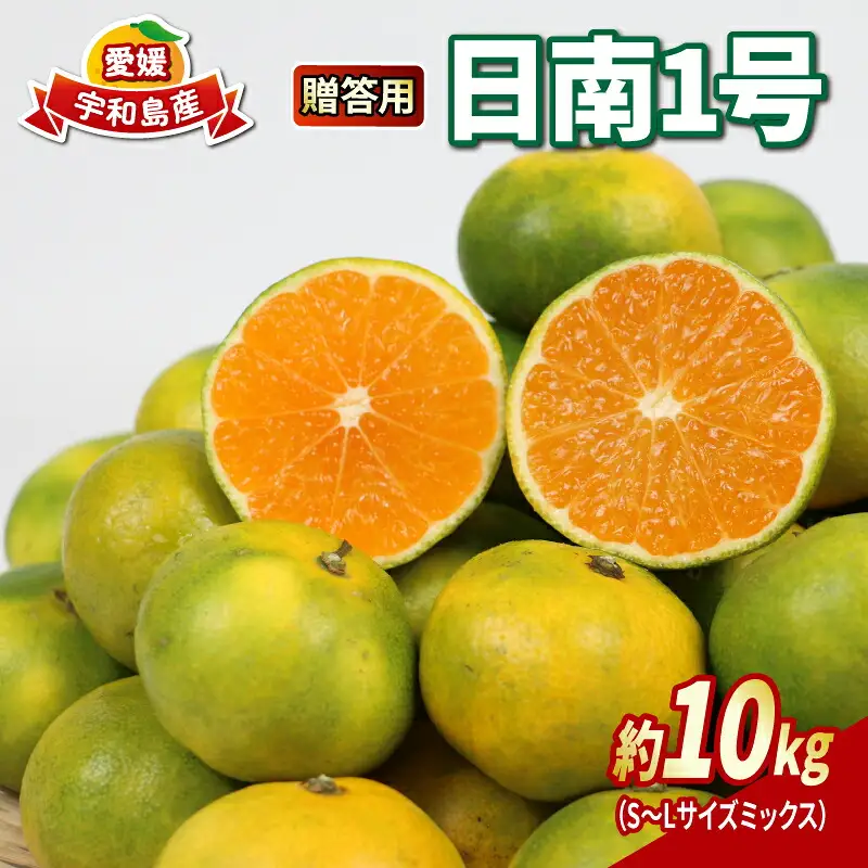 贈答用 愛媛みかん 極早生 日南1号 10kg S~L サイズ ミックス 不揃い 不揃い  NBU B018-058011