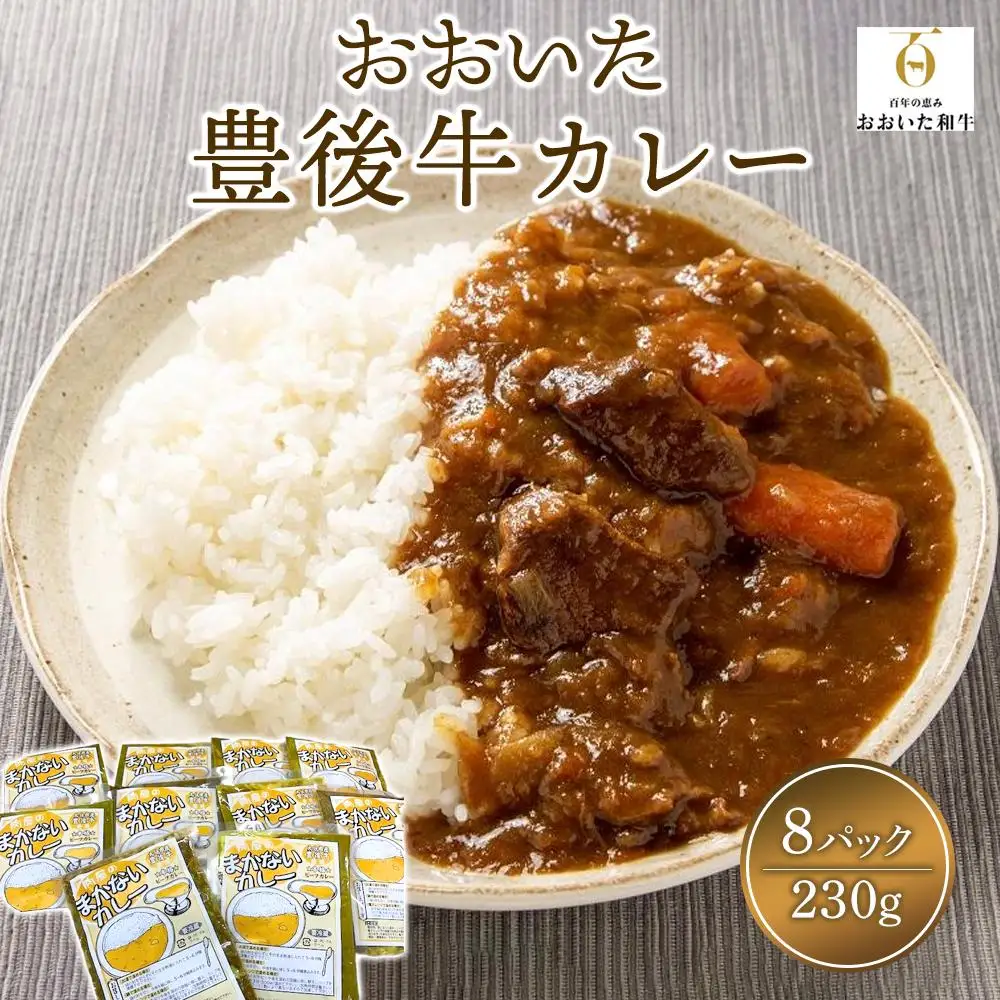 豊後牛【本格ビーフカレー】230g×8パック｜湯煎で簡単調理