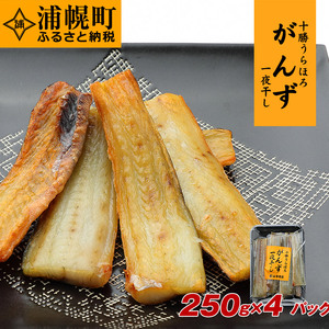 浦幌町産がんず一夜干し250g×4パック  がんず 一夜干し がんじ《60日以内に出荷予定(土日祝除く)》北海道 浦幌町 山本商店 海鮮