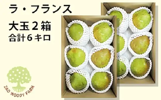 西洋梨(ラフランス) 6kg 大玉 ご家庭用 0062-2605