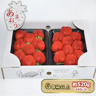 いちご あまおう G以上 約520g（260g×2パック）配送不可 北海道 東北 沖縄 離島 果物 フルーツ 旬のいちご 食後 デザート 農家直送 大粒 