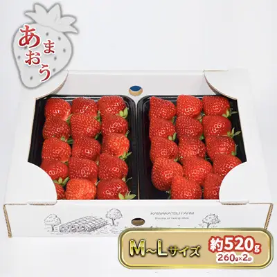 いちご あまおう M～Lサイズ 約520g（260g×2パック）配送不可 北海道 東北 沖縄 離島 