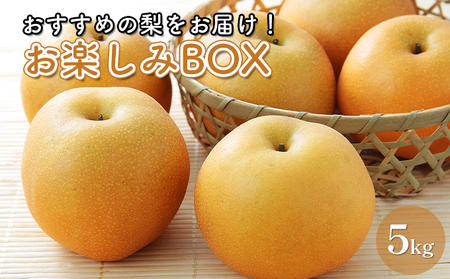 【先行予約】お楽しみBOX おすすめの梨をお届け 梨 7種の中からお任せ セット 詰め合わせ 豊水 秋月 かおり 新星 新高 甘太 にっこり なし ナシ 和梨 果物 くだもの フルーツ 旬のフルーツ 旬の果物 デザート 千葉 千葉県 成田市