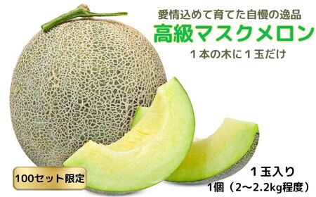 【先行予約】9月中旬出荷予定 高級マスクメロン 1個（2～2.2kg程度）100セット限定 濃厚な甘みととろける食感 農家直送 １本の木に１玉だけ 愛情込めて育てた自慢の逸品