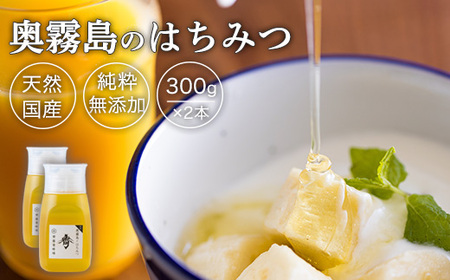 8年産春採れの新蜜 宮崎県高原町産 奥霧島のはちみつ(300g×2本) TF0699-P00058