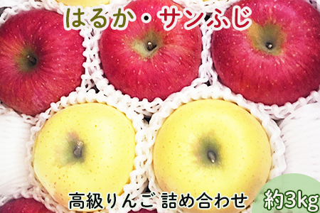 【贈答用】高級りんごはるか・サンふじ詰合せ！花巻産約3kg【1246】