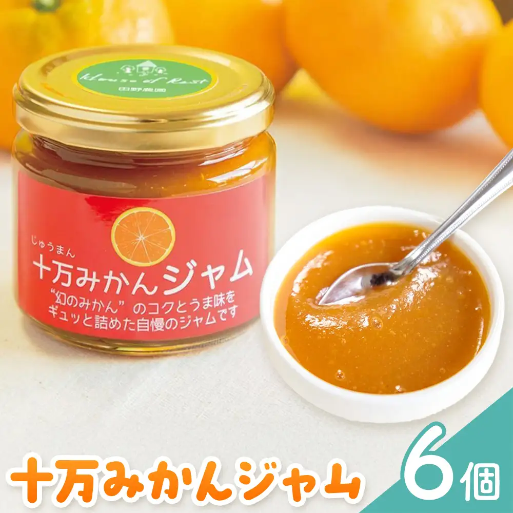 十万みかん ジャム 150g 6個 田野農園《30日以内に出荷予定(土日祝除く)》鹿児島県 さつま町
