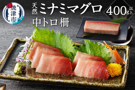 キボシ水産 天然 南鮪 中トロ 柵 刺身 400g以上 (a15-565)