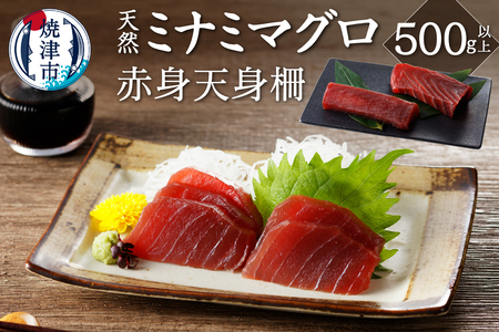キボシ水産 天然 鮪 南鮪 赤身 天身 柵 刺身 500g以上 (a10-953)