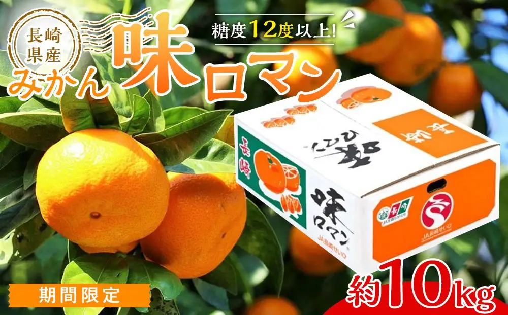 【糖度12度以上！】長崎県産 みかん 味ロマン 約10kg ＜期間限定／先行予約＞【2026年11月中旬以降順次発送】｜みかん 柑橘