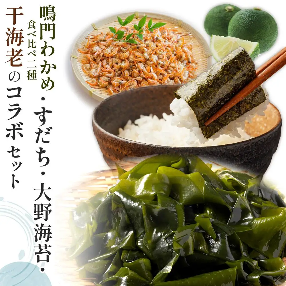 鳴門わかめ 食べ比べ 糸わかめ 53g×2 生わかめ145g×2 すだち 8個 大野海苔 10本 干海老 70g×5 セット 海苔 のり