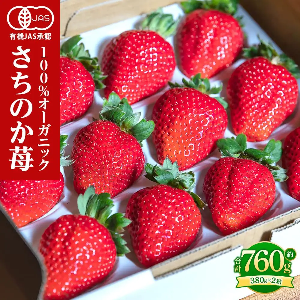 とくしまオーガニックいちご 大粒12～15粒(約380gx2) 2段箱｜イチゴ フルーツ 果物 苺 国産 有機いちご 贈答用【2026年12月下旬から順次発送】