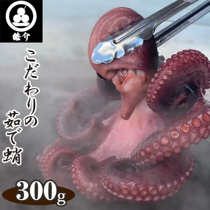 No.323 行列のできるたこ焼き屋が茹でる、こだわりの茹で蛸300g（CAS冷凍）