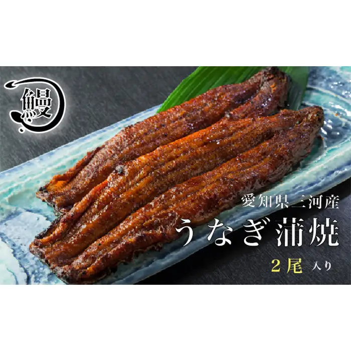 No.142 うなぎの蒲焼2尾