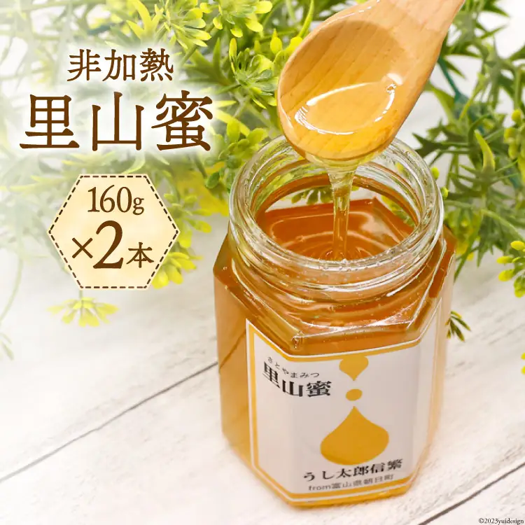 里山蜜 160g×2本