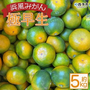 浜風みかん 極早生 ５kg OHI0005