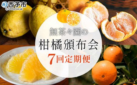 ＜無茶々園の柑橘頒布会 定期便 7回＞ 果物 フルーツ 温州みかん ミカン 蜜柑 ポンカン 伊予柑 いよかん 不知火 しらぬい 甘夏 あまなつ 河内晩柑 かわちばんかん ひょう柑 ひょうかん 無茶々園 愛媛県 西予市【常温】『2024年12月に第1回目を順次出荷予定』AMC0029