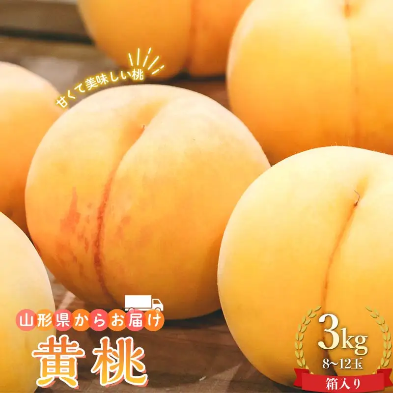 山形県産 黄桃 お任せ3kg8～12玉箱入り もも モモ 桃 デザート フルーツ 果物 くだもの 果実 食品 山形県 FSY-0742