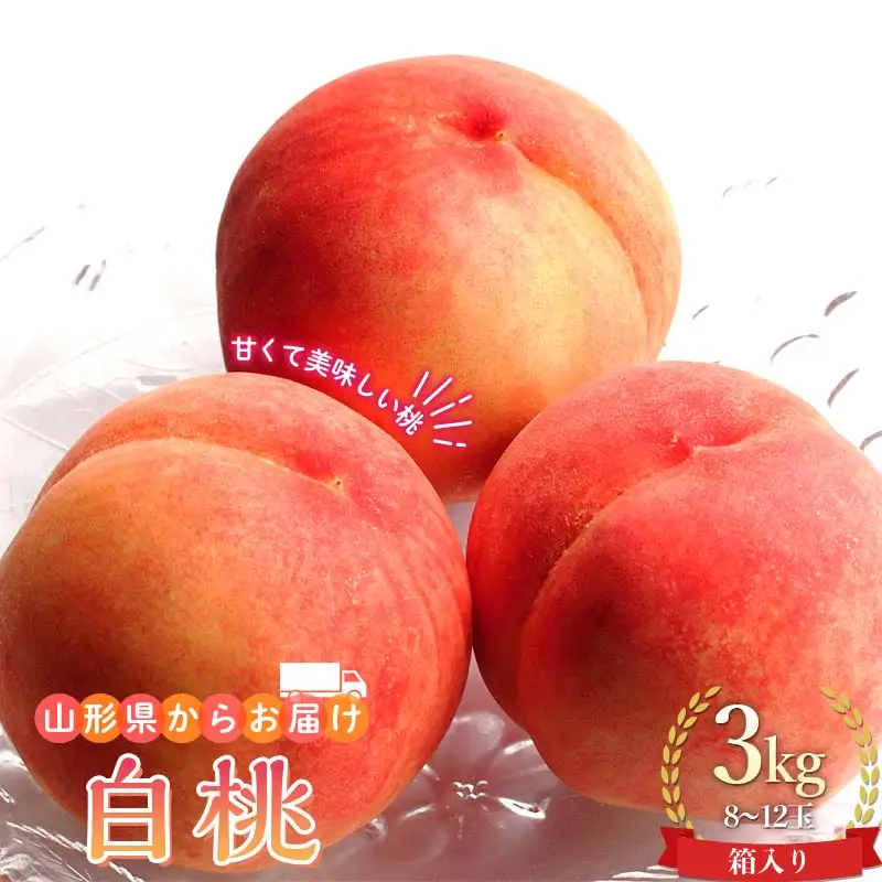山形県産 白桃 お任せ3kg 8～12玉箱入り もも モモ 桃 デザート フルーツ 果物 くだもの 果実 食品 山形県 FSY-0746