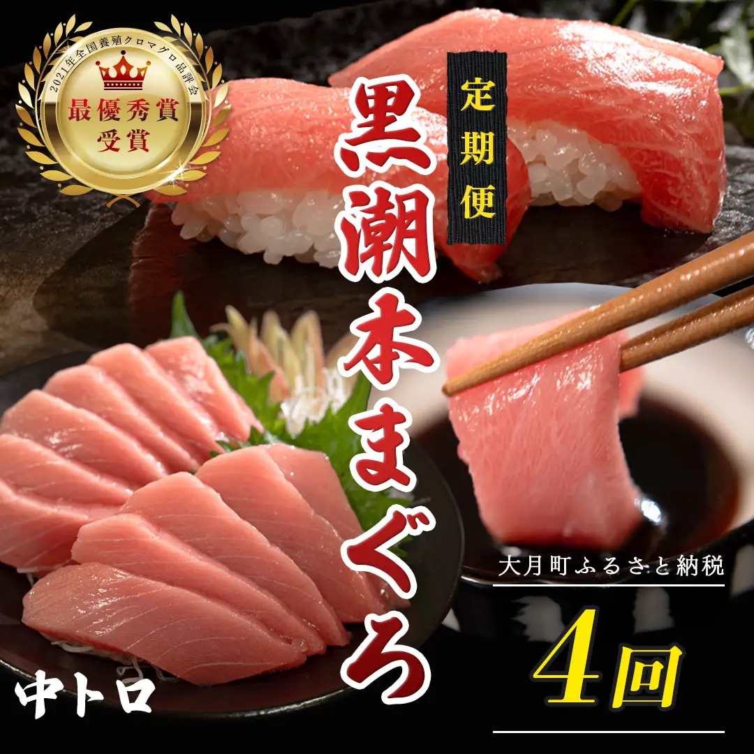 訳あり 不定貫 定期便4回 日本一!黒潮本まぐろ 中トロ (PT0080_0525)