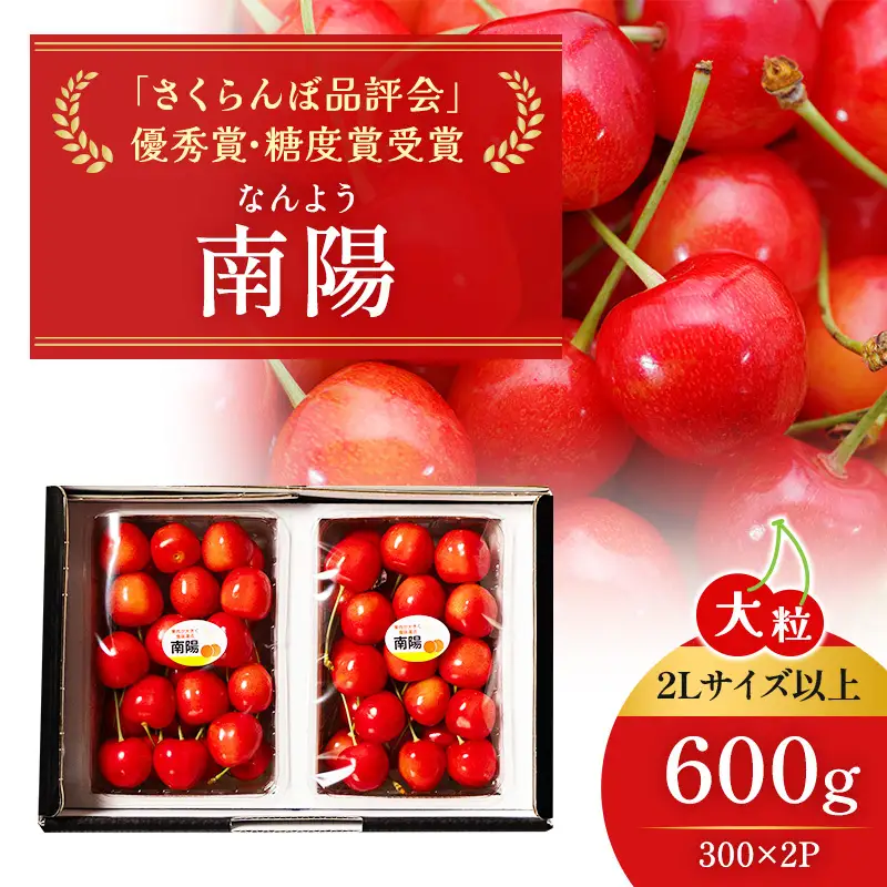さくらんぼ 600g 南陽 2Lサイズ以上 サクランボ