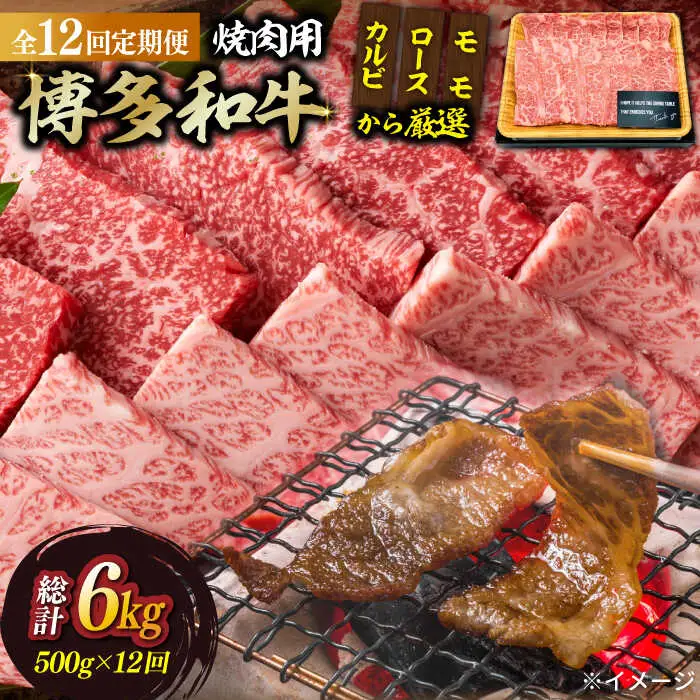 【全12回定期便】博多和牛焼肉用 500g 牛肉 BBQ [ABBP035]