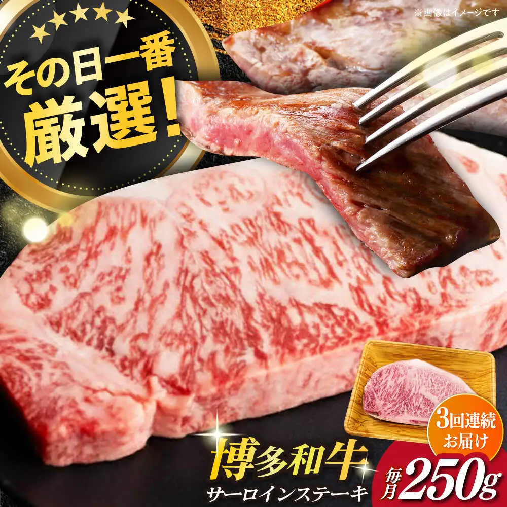 サーロイン 【全3回定期便】 博多和牛A4以上サーロインステーキ250g×1枚 [ABBP045] サーロイン