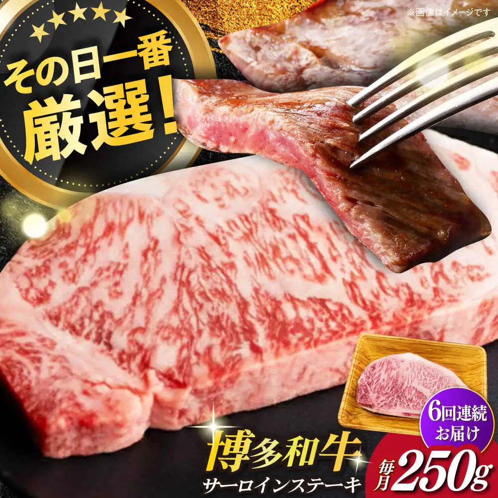 サーロイン 【全6回定期便】 博多和牛A4以上サーロインステーキ250g×1枚 [ABBP046] サーロイン