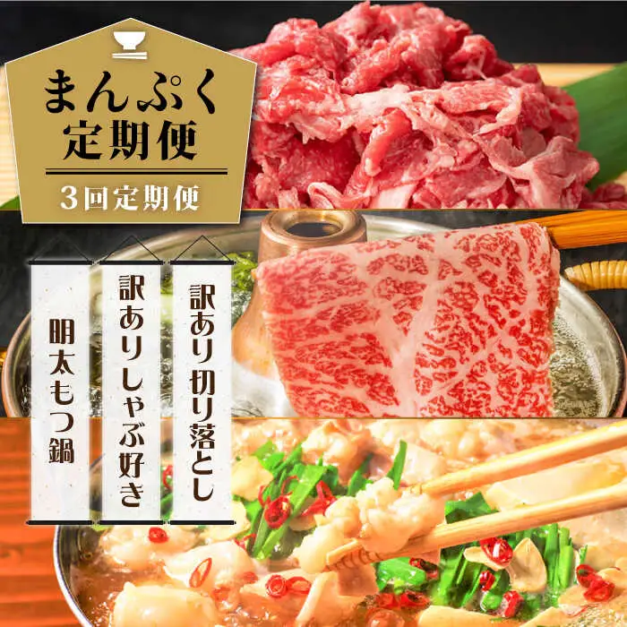 【3回定期便】【大人数のご家庭に】まんぷく定期便 [ABBP113]
