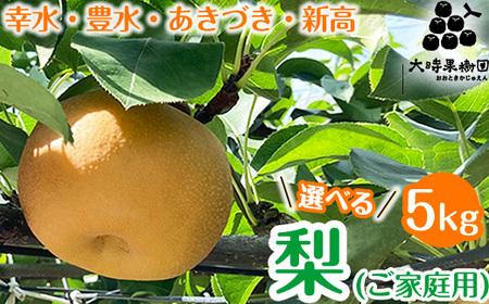 【選べる】梨　5kg箱(家庭用) ※2026年8月～発送