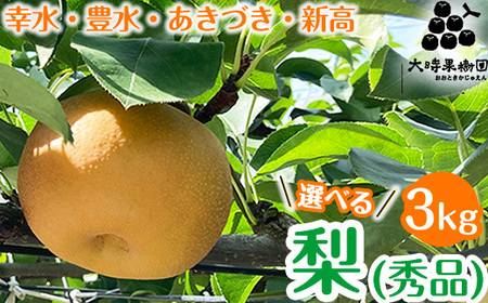 【選べる】梨　3kg箱（秀品） ※2026年8月～発送