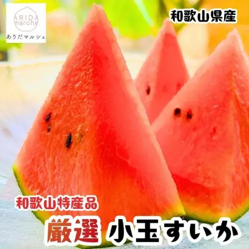 農家直送 厳選 小玉すいか Mサイズ/2玉入り【2027年6月上旬～6月下旬（順次発送予定）】【先行予約】【AA90053-ard176B】