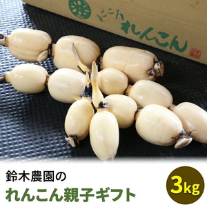 鈴木農園のれんこん親子ギフト 3kg ※2026年10月～発送