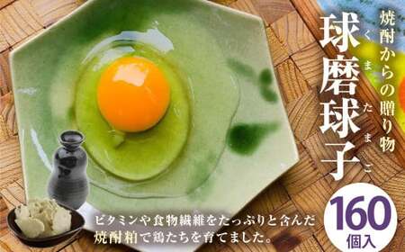 球磨球子 160個 鶏卵 卵 玉子 たまご くまたまご（破損保証有り）