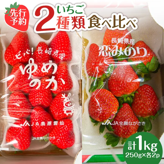 【2027年1月-発送】いちご2種類 食べ比べ 約250g×4P [SAC006] いちご