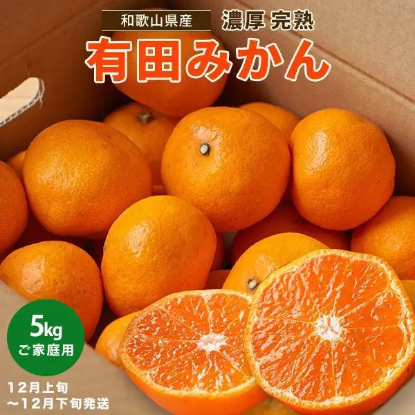［先行予約］ご家庭用 完熟 有田みかん 5kg［2026年12月発送予定］訳あり 農家直送［MS31-2］
