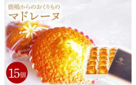 鹿嶋からのおくりものマドレーヌ　スイーツ　デザート　焼き菓子　送料無料【鹿嶋市 焼菓子 スイーツ デザート 洋菓子 ギフト オリジナル ボックス 茨城県産 おいしい】（KD-15）