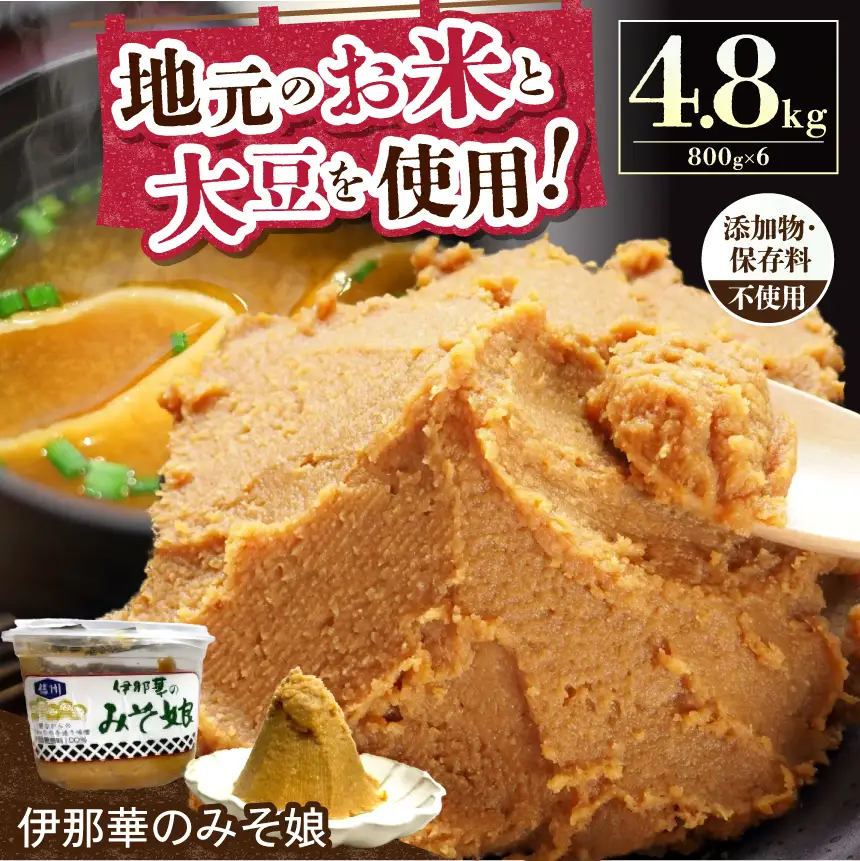 味噌 伊那華のみそ娘 みそ 800g×6個セット｜味噌 みそ 調味料 伊那 いな 長野県 ふるさと納税 大豆 お土産【021-03】